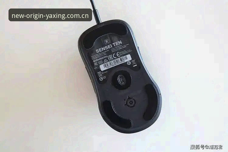 亚星体育平台数字归属站E3GN中国入口全面评测：2.5版本背后的技术逻辑与实战体验